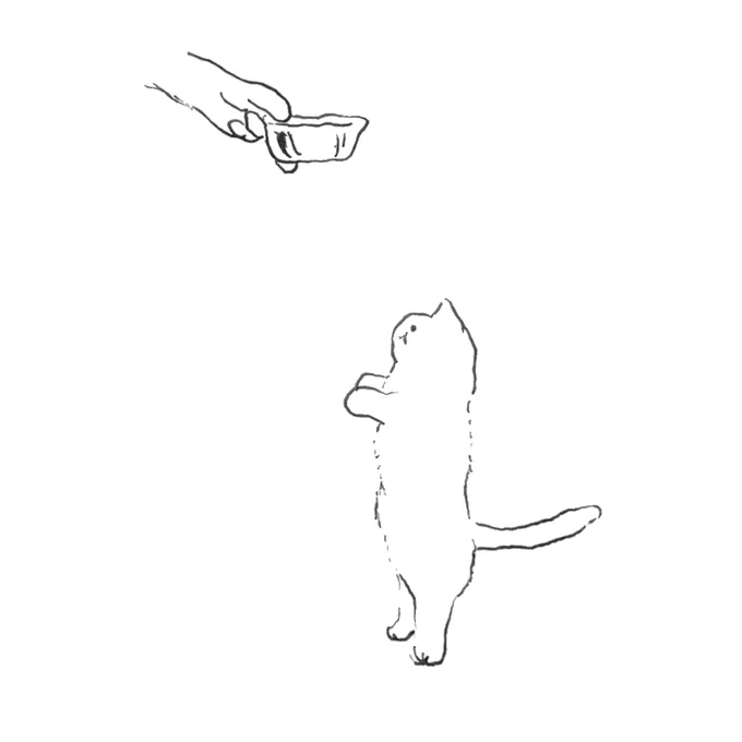 ねこ 