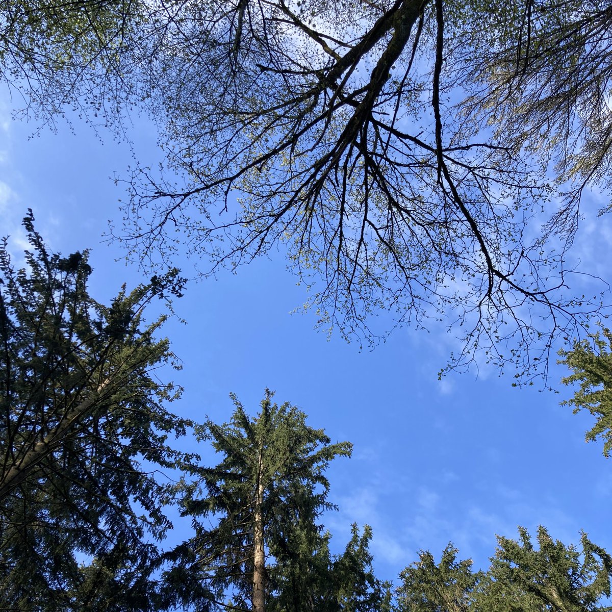 achtQuark's tweet photo. Have a lovely long weekend https://t.co/F5NvJ1EnX6
