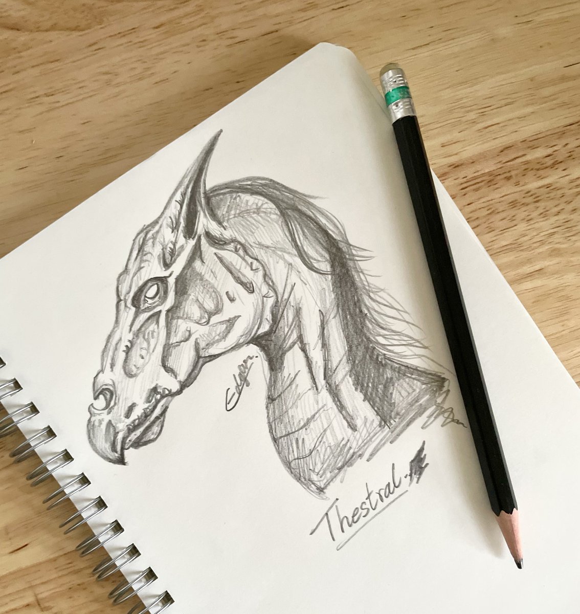 (🐰) วาดรูปเธสตรอลในป่าจนคำมืด ดีนะจำทางกลับหอถูก ไม่งั้นได้นอนในป่าแน่