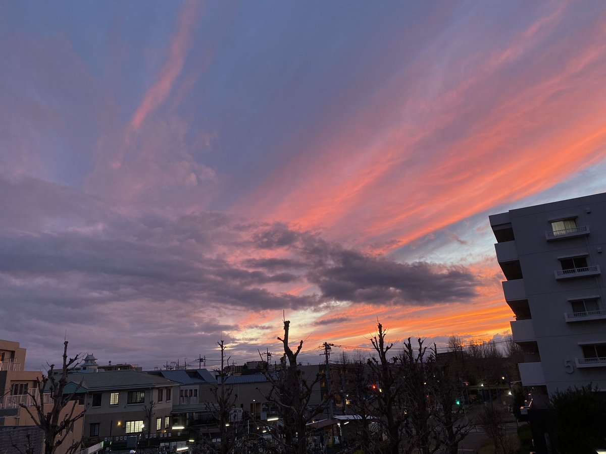 東渡秀瀧 tweet media