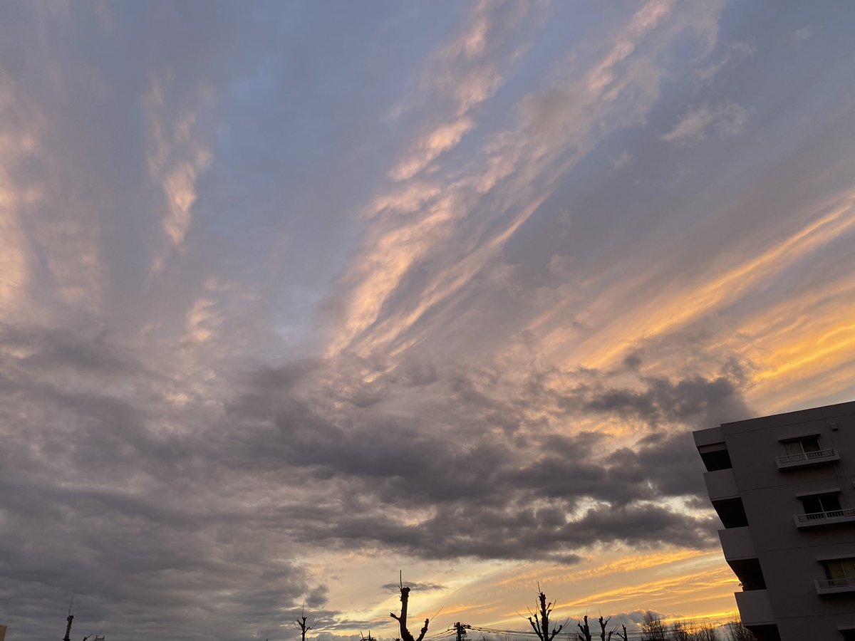 東渡秀瀧 tweet media