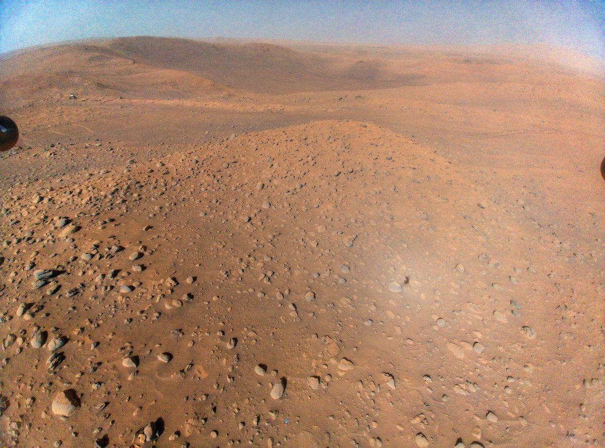 CalderoneLuca's tweet photo. Qualche giorno fa sono state pubblicate due nuove immagini catturate durante i recenti voli di #Ingenuity .
#NASA #NASAIngenuity #MarsHelicopter #Mars 

Credit 📸: NASA/JPL https://t.co/eNesIIABs4