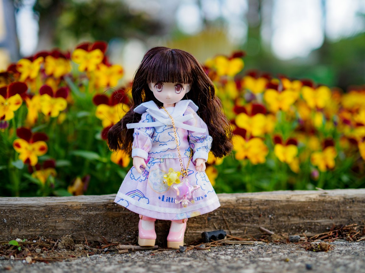 KisaHaya_Doll's tweet photo. 🌷お花がたくさん🌹
#4月を写真4枚で振り返る
#アイリスコレクトプチ #TwinkleSign #ルミナスストリート #DESKTOPDOLLS https://t.co/qWItMKFip0