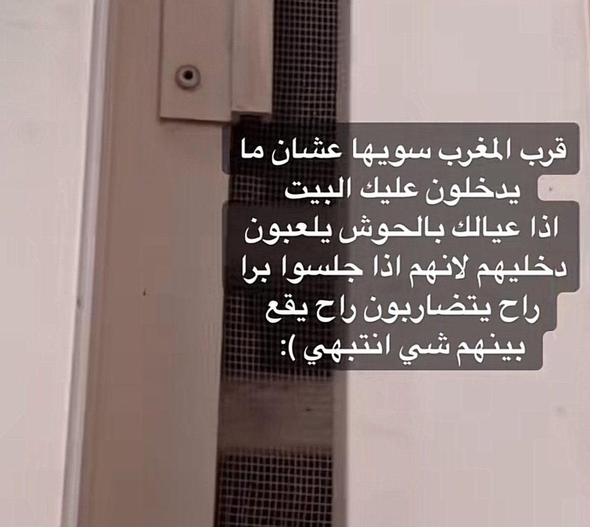 مارلين tweet media