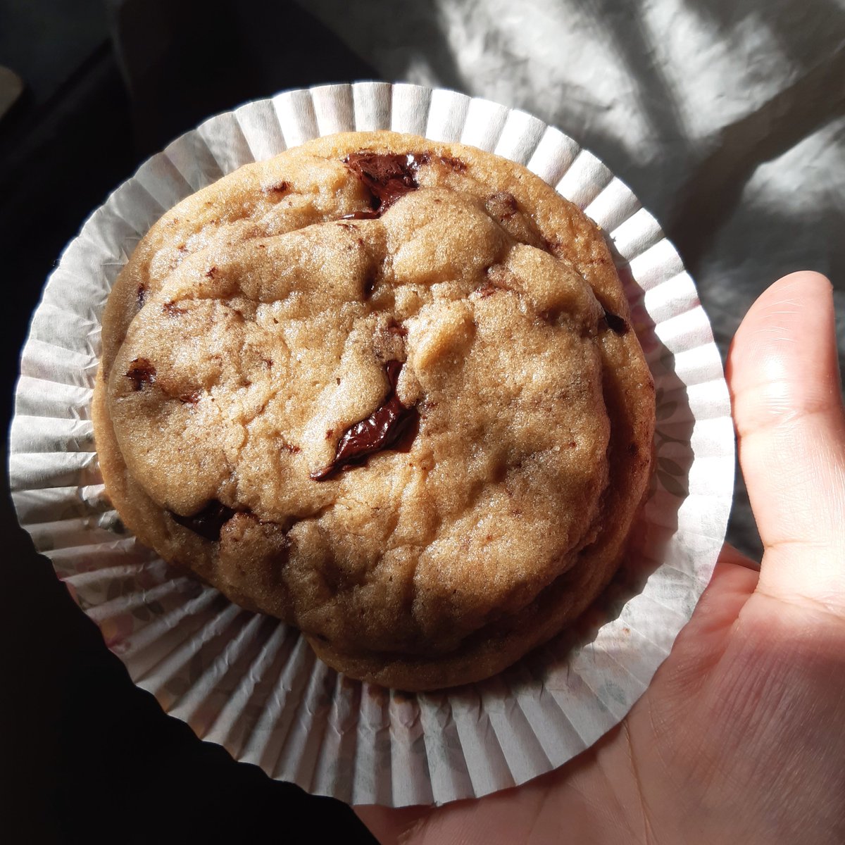 RoannaFernandes's tweet photo. Last week loveness!

When a beautiful chocolate chip cookie is made, you gotta immortalize it via a few thousand pics or so • They were giant, they were crisp, they were comfortingly chewy in the centre, they were sweet 🍪 📝

Made by @Racesc04

#chocchipcookie #Racileskitchen https://t.co/2v30YvMGp3