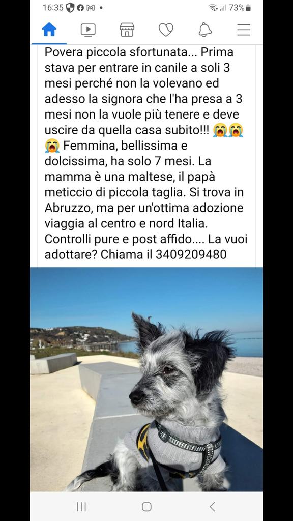 RT RT RT RT RT RT RT ❤❤❤❤❤❤🙏🙏🙏🙏🙏