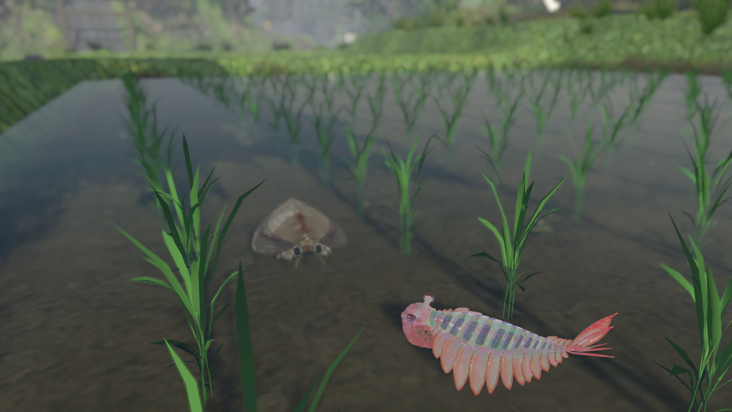 カヤ（Kaya）🌿 (KAYA_Vchat) / Twitter