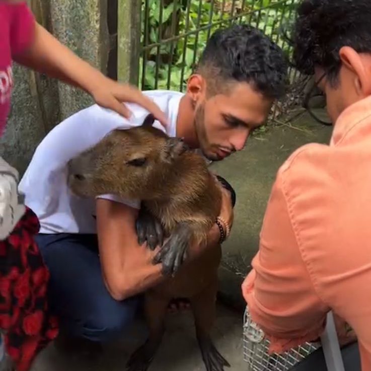 misteriouspavao's tweet image. A Filó foi devolvida! ❤️ 

Na decisão, o juiz disse o seguinte: “Não é a Filó que mora na casa do Agenor. É o autor que vive na floresta, como ocorre com outros milhares de ribeirinhos na Amazônia, realidade muito difícil de ser imaginada por moradores de outras localidades…