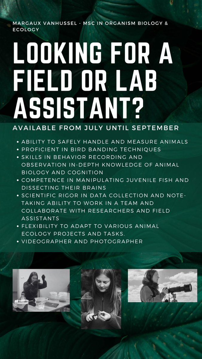 Hey there! Looking for a passionate and motivated field assistant in animal behavior or ecology this summer in Europe? I'm available from July to September and eager to join your team! Let's work together 🌿🐾 #FieldAssistant #animalbehavior #ecology