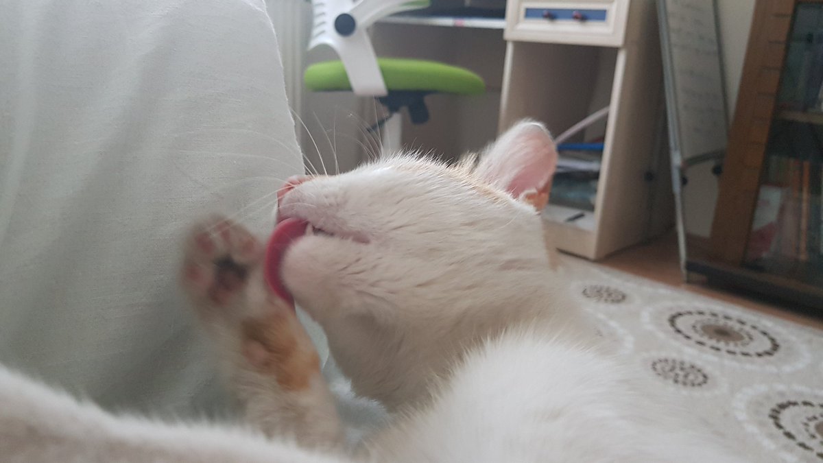 Tiyemmüm apdesdi ünemli çanımlar