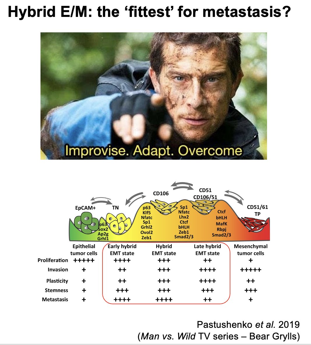 Mohit Kumar Jolly tweet media