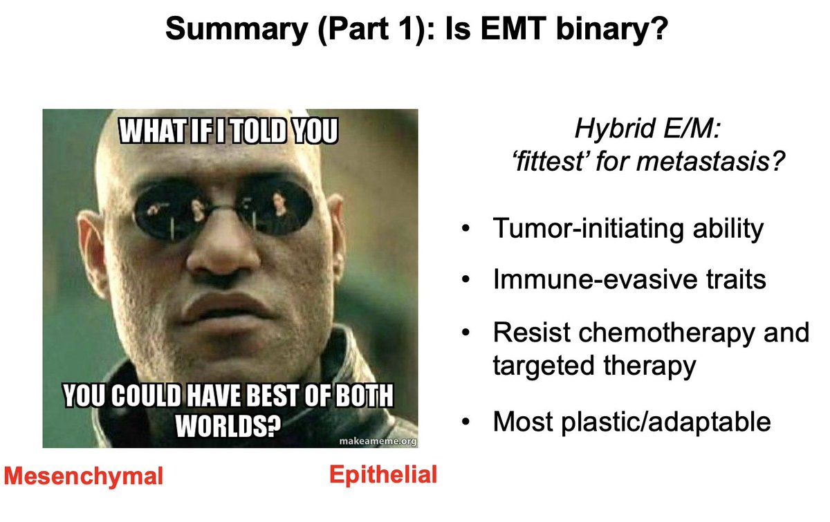 Mohit Kumar Jolly tweet media