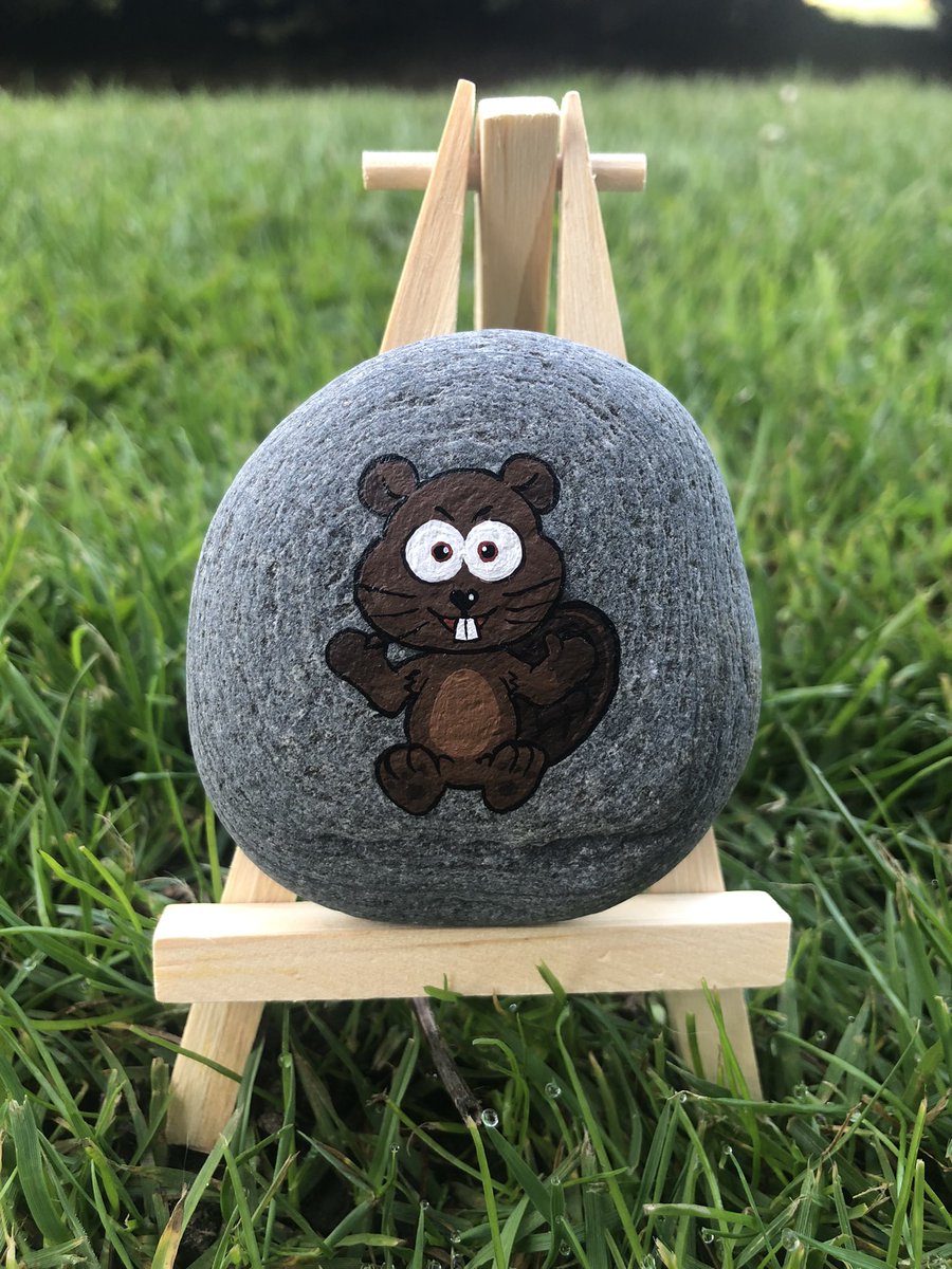 VeeRocks_eth's tweet photo. 244/251 Boisterous Beaver! @TKBushleaguer this one is yours! @garyvee @veefriends #veerocks #veefriends https://t.co/LEJpL9tsqE