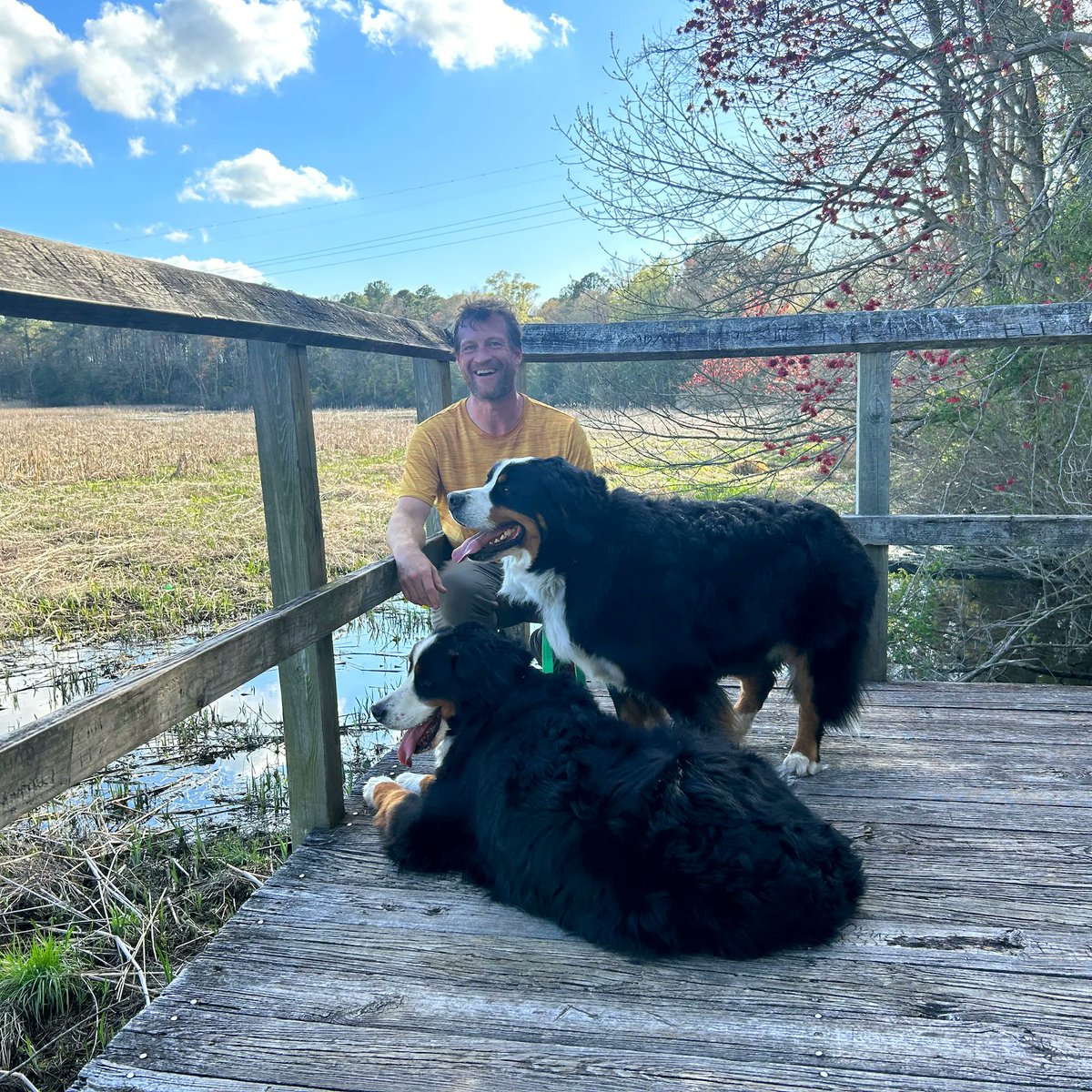 SimmyJellers's tweet photo. CAM. If you’re not familiar it stands for Geocaching Around Maryland. We set out to be the only 2-canine, 1-human team to successfully incomplete CAM. This vision quest took us to OC &amp; Eastern Shore
#geocaching #CAM #storytelleroverland #maryland #bernesemountaindogs #vanlife https://t.co/tzImb8uEFe