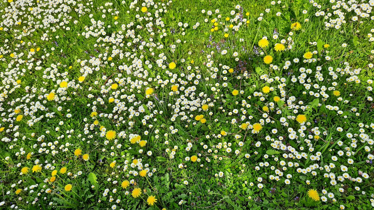 Finally a warm spring day. Out for a long walk!