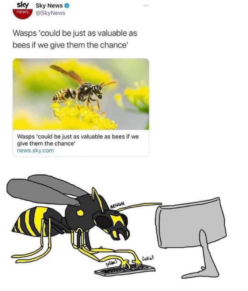 Bee KC 🐝 (@beekc_mo) on Twitter photo 