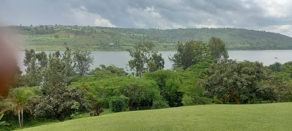 Musha Sector tweet media