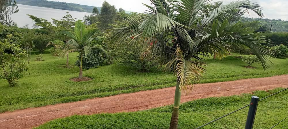 Musha Sector tweet media