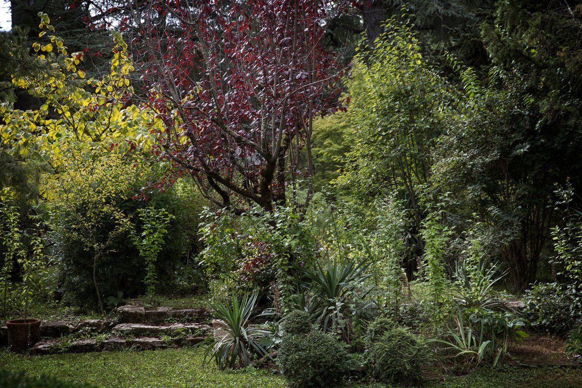 Castello di Querceto tweet media