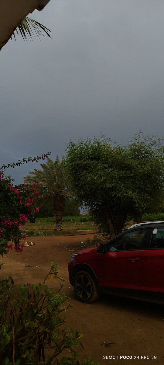 SemoEH15's tweet photo. اليوم اجواء جازاان خييااالل ⛈️⛈️⛈️⛈️⛈️
طبعاً هذا تصويري بكاميرا الجوال من دون فلتر 🥺💙 https://t.co/ERJb66CxVh