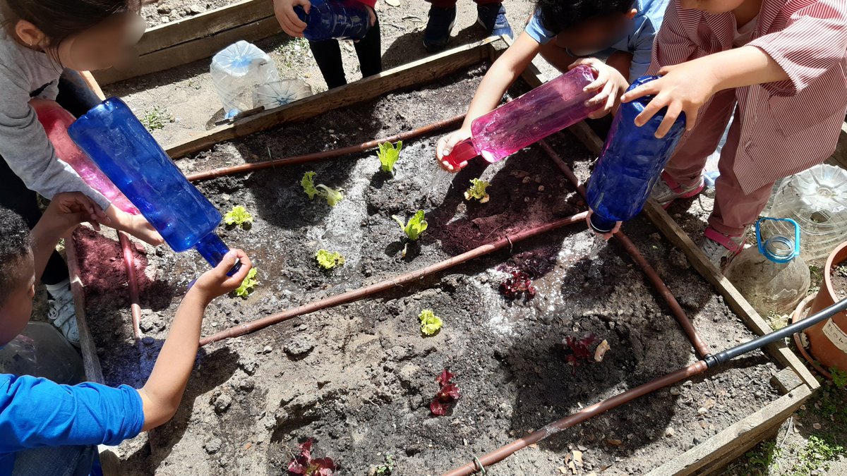 quevedo_va's tweet photo. Con este calor , toca regar...nuestras plantas lo van a agradecer..
@educacyl https://t.co/W0XyxLT4NC