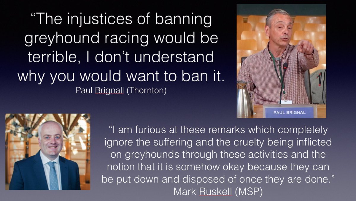 #PaulBrignal is a disgrace, the likes of him will never put #Greyhounds first. Completely out of his depth at #ScottishParliament thankfully @markruskell and other MSP’s will not be deceived. #BanGreyhoundRacing #RescuedNotRetired #YouBetTheyDie