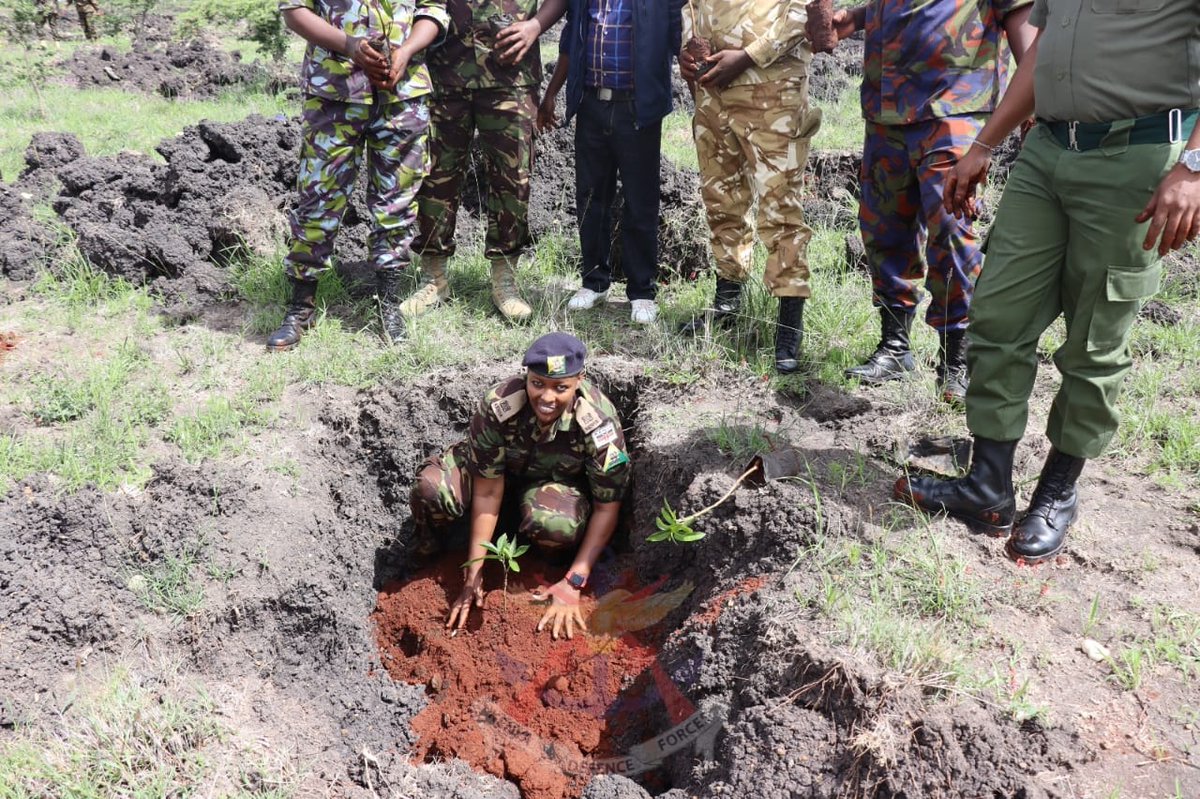 kdfinfo's tweet photo. National Security Telecommunications Service (NSTS) Multi-Agency personnel, planted over 600 fruit trees within NSTS cantonment in Embakasi Garrison. https://t.co/LGt1pLlpqK https://t.co/gf1FJoV8VI