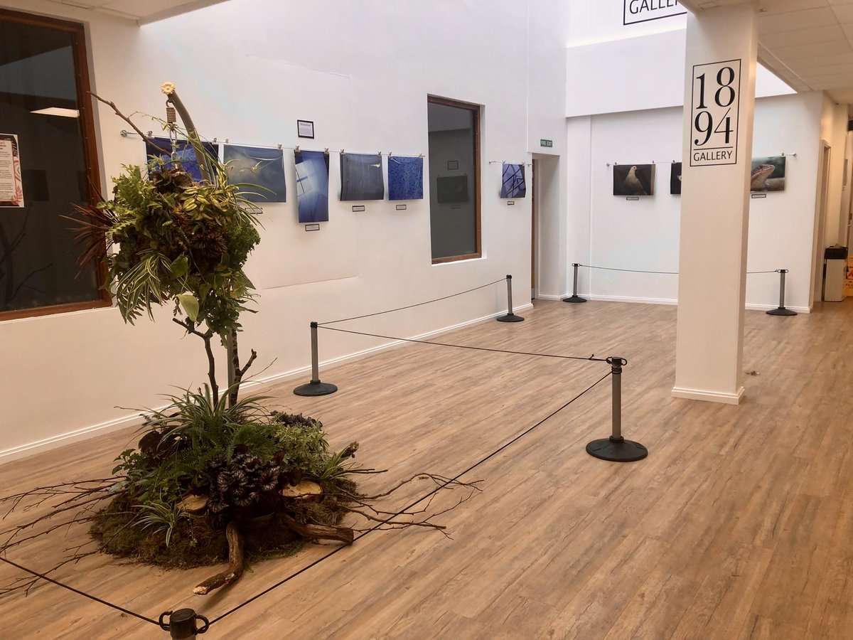 New ‘minimalism’  photography exhibition is up in our 1894 Gallery! Created by our Level 2 Photography/ Creative Design students.  Also an exhibition of FdSc Horticulture designs. <a href="/MyerscoughColl/">Myerscough College & University Centre</a> <a href="/My_GreenSpace/">MyerscoughGreenspace</a> #artgallery #PhotographyIsArt #photographicart