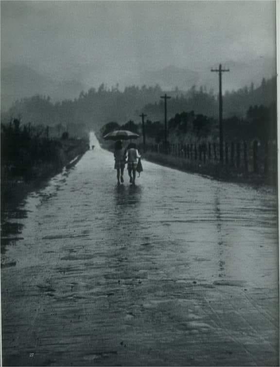 CONSTANZA / 1957
Constanza, República Dominicana.
Imagen del año 1957.
•••
Fuente: “Quisqueya Umbral de America" / Francis Stopelman / 1957
IMÁGENES DE NUESTRA HISTORIA. ®
#imagenesdenuestrahistoria
#santodomingo