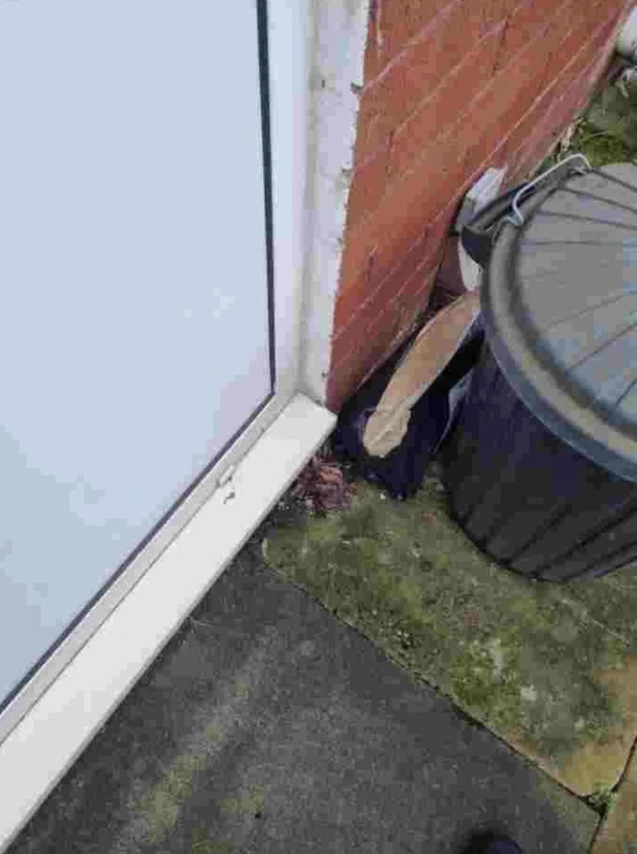 chrisdebonnaire's tweet photo. @vinted, this was the “proof of delivery” that @YodelOnline provided…

And yet you won’t cover me on your buyer protection policy when the parcel then goes missing and have advised that I check with neighbours when it’s been missing for 2 weeks

#theft #customerdisatisfaction https://t.co/nhwFzOA99x