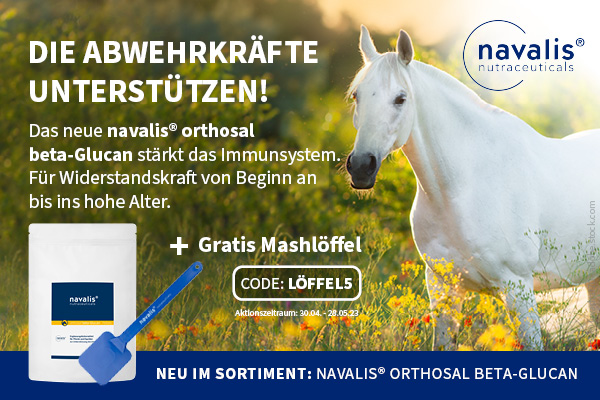 RT <a href="/VetGoy/">DocGoy Tierarzt</a>  <a href="/docgoy/">Dr. Reinhard Goy</a>   Kennen Sie schon das neue navalis orthosal für Pferde? hund-katze-heimtier-kleintier.de/kennen-sie-sch… 🐴🦄