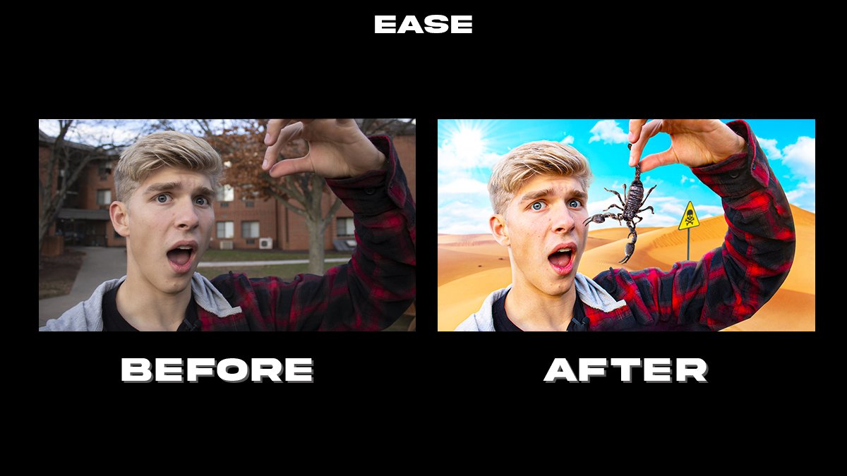 Ease Media tweet media