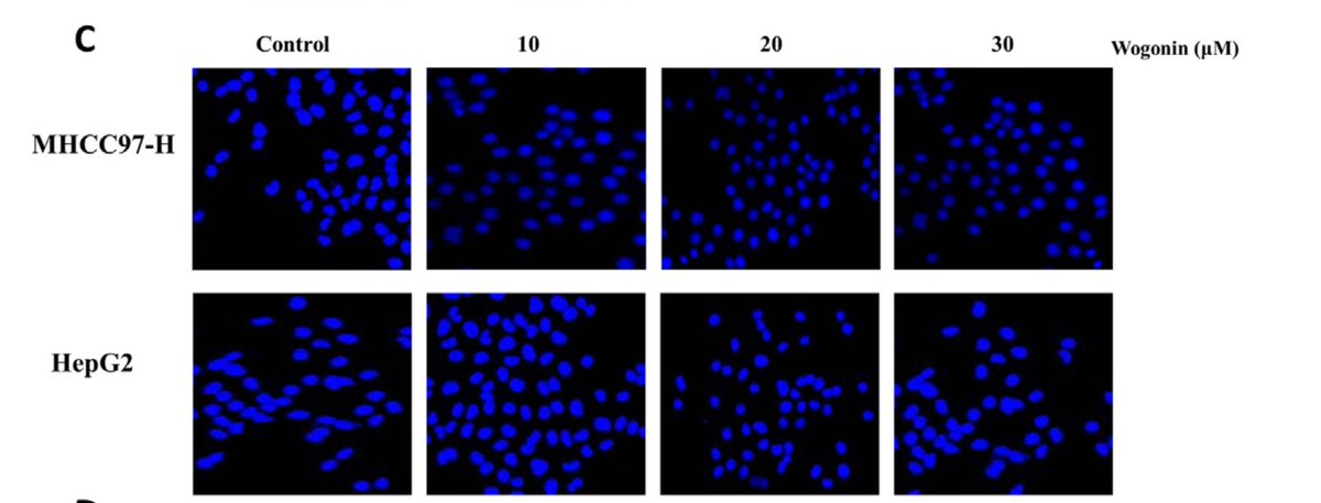 Elisabeth Bik tweet media