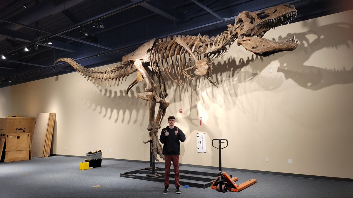 _EthanLevine's tweet photo. This is Scotty. A cast of the largest T-rex ever found. He stands at about 20 feet tall and is over 40 feet in length. He was found in Saskatchewan and took two decades to fully excavate. My job rocks https://t.co/boKpjGX3Ch