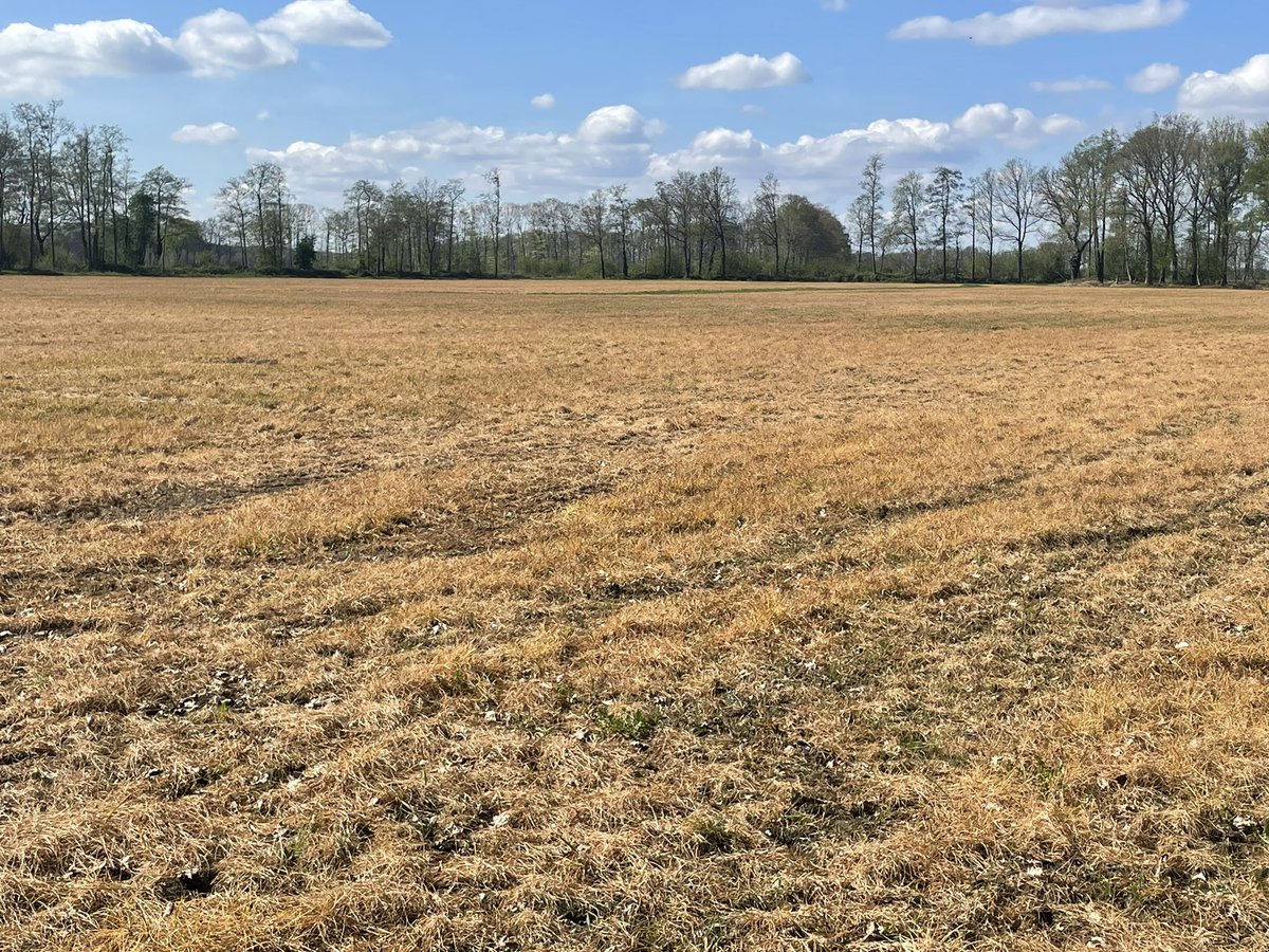 Ed van Tellingen tweet media