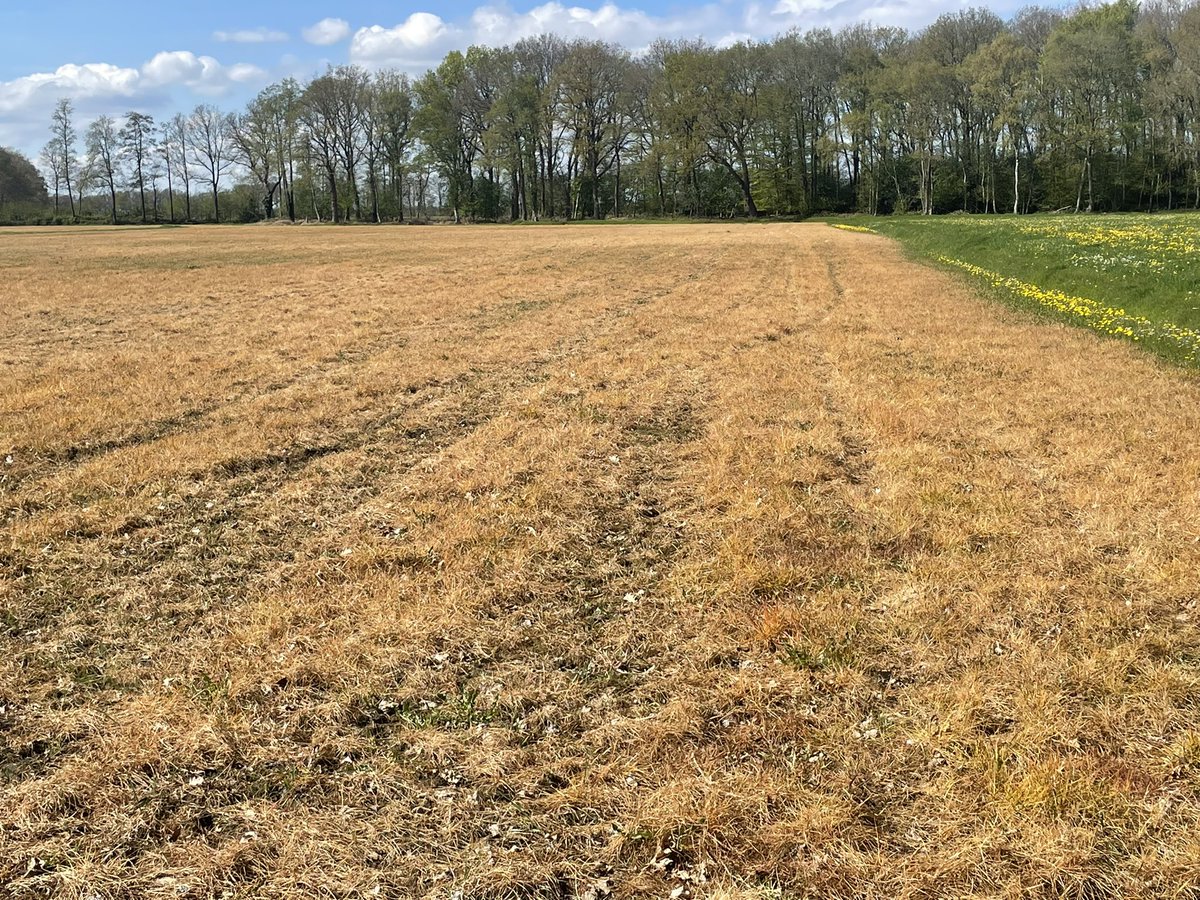 Ed van Tellingen tweet media