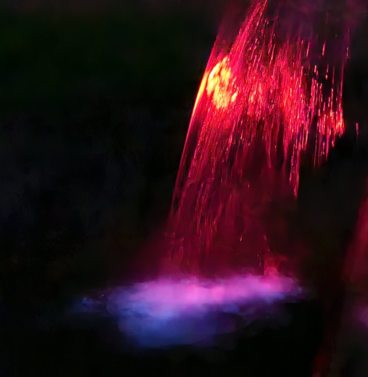 Theresa Freeman (@freemanlabtju) on Twitter photo Very cool trip to #vieques mosquito bay to see bioluminescence!  Luckily, didn't see too many mosquitos! Pic of pouring water into bay. Very cool trip to #vieques mosquito bay to see bioluminescence!  Luckily, didn't see too many mosquitos! Pic of pouring water into bay.