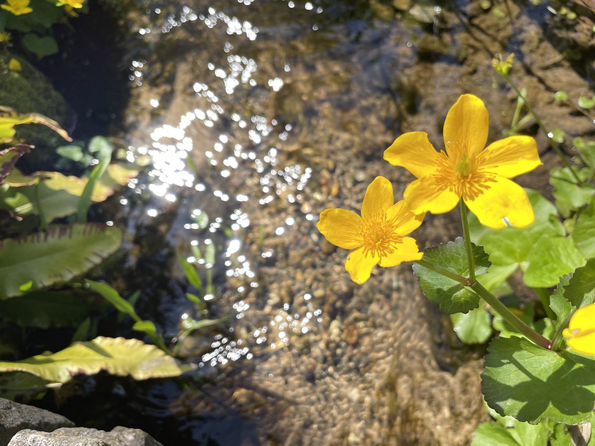 Wolfgang Stieler (@wstieler) on Twitter photo 