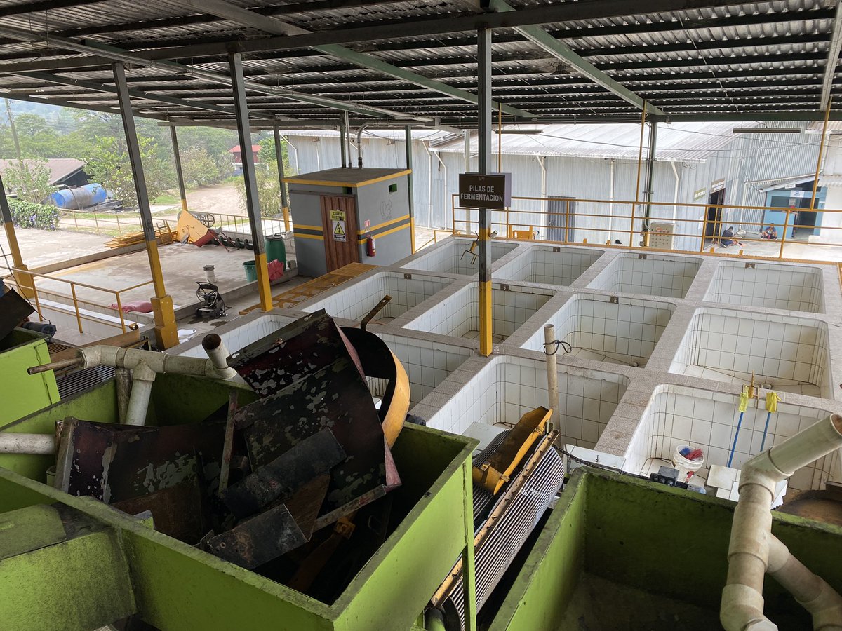 LopezBravo_'s tweet photo. This week I was learning about the specialty coffee industry in Honduras. It was by far one of the best experiences of my life. Not only for what I learned but also for the human quality of the people I met and who taught me. Now we are going back to Nicaragua.#COMSA https://t.co/qkIhEEDXG1