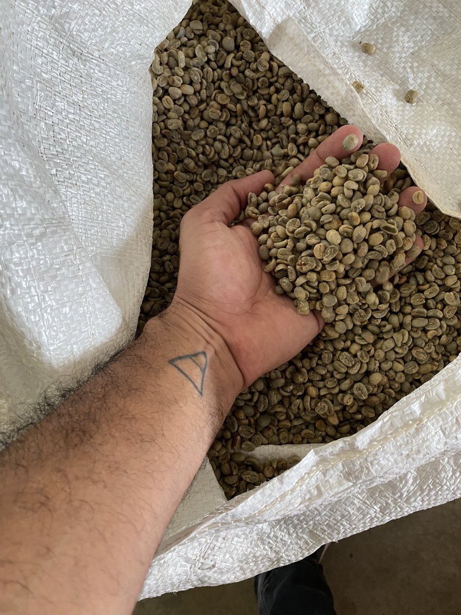 LopezBravo_'s tweet photo. This week I was learning about the specialty coffee industry in Honduras. It was by far one of the best experiences of my life. Not only for what I learned but also for the human quality of the people I met and who taught me. Now we are going back to Nicaragua.#COMSA https://t.co/qkIhEEDXG1