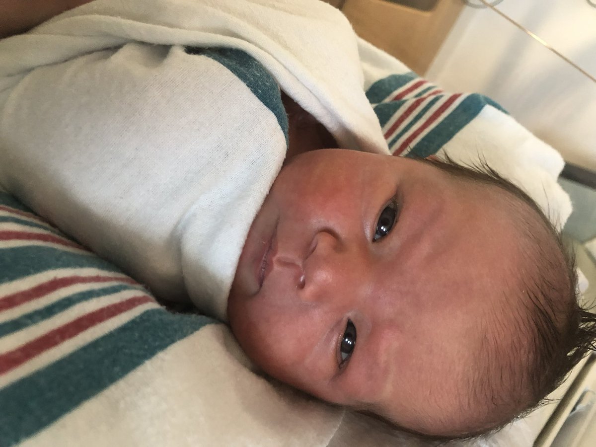 Myles Duelm tweet media