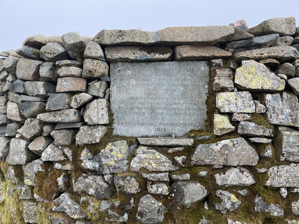 Nigel carter tweet media