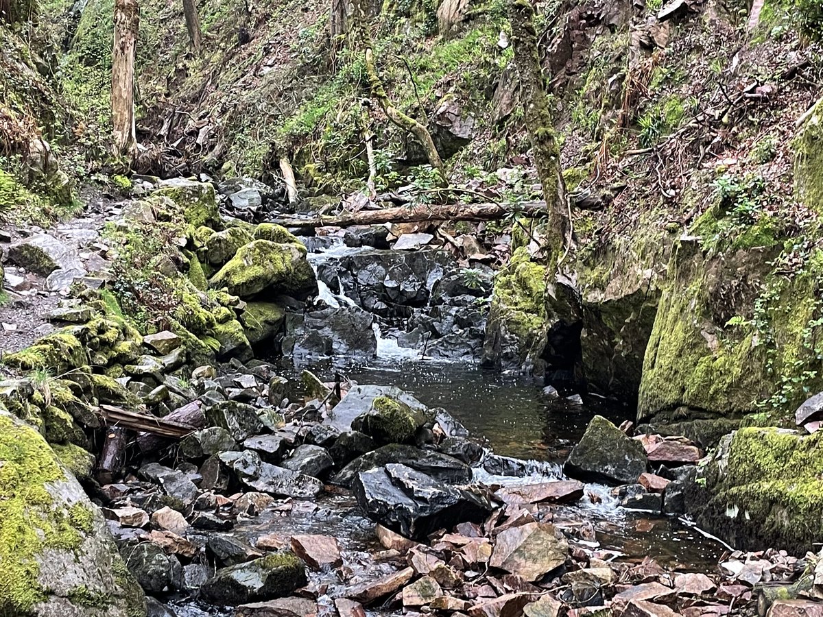 Nigel carter tweet media