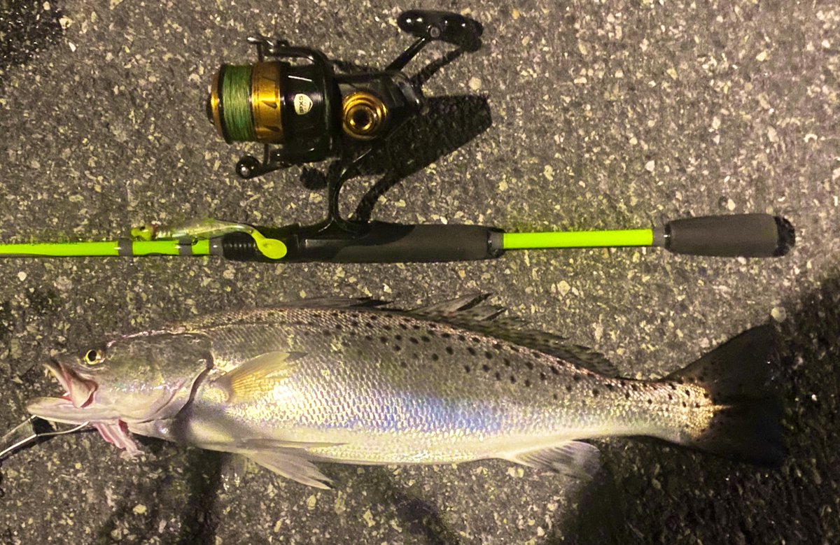 fishing_va's tweet photo. #springtime #spottedseatrout #fishing @BassAssassinLur @fishing_va https://t.co/ZB3ZAGSjDI