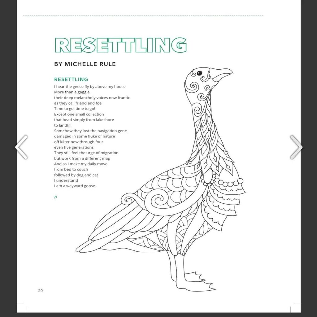 So pleased to have my poem, Resettling, in the #FOLD2023 festival program! FOLD is a literary festival out of Brampton, Manitoba. #canadianwriters #canadianpoets