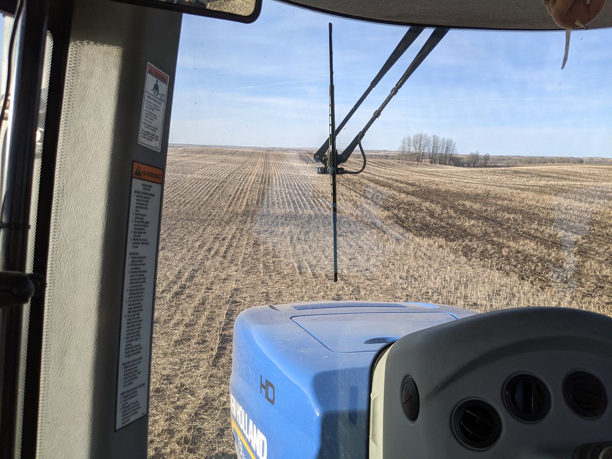 MdmSandy's tweet image. April 29th ... Off we go .... Starting with peas🌞 would really welcome a rain🤞