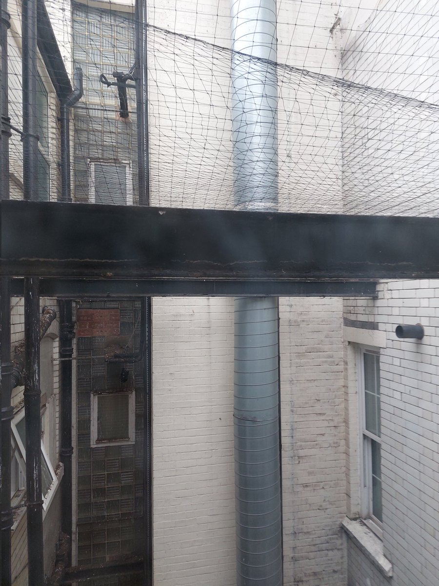 WasdellGeorgie's tweet photo. Scenic view from our hotel room! https://t.co/h3BUShra9D