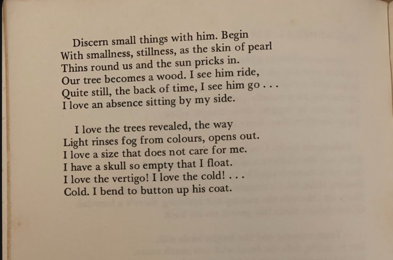 ForgottenGPoems's tweet photo. Here's "Occasional Birds," by P.J. Kavanagh (1931-2015). Taken from his 1974 collection, Edward Thomas in Heaven. Perhaps you've often heard his name, but not read many of his poems (U.S. people I'm looking at you.) Thanks to @AndrewSchuman for suggesting this poem. https://t.co/OfgiKMbwYJ