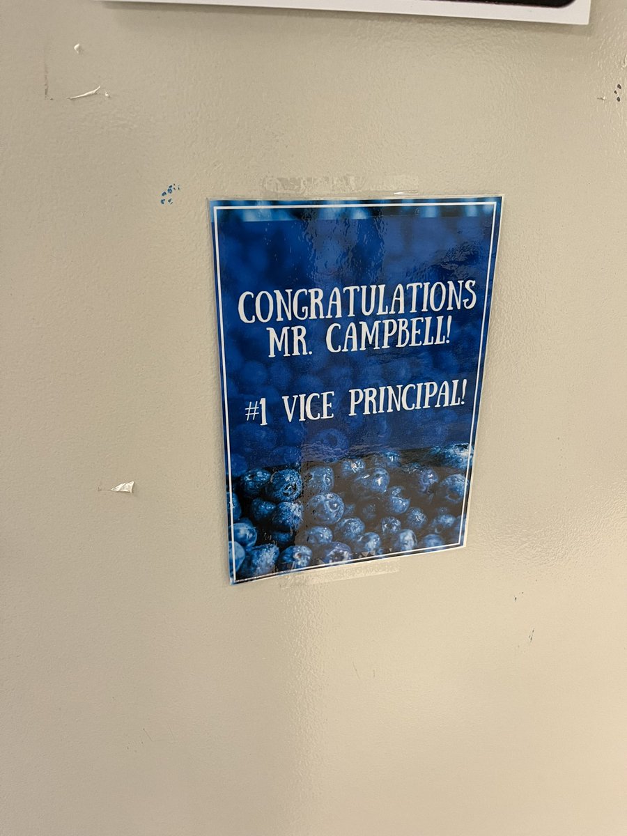 Shaun Campbell tweet media