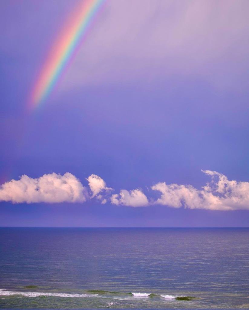 EllieEnn03's tweet photo. Speck of serenity https://t.co/AvXz8TmRgA